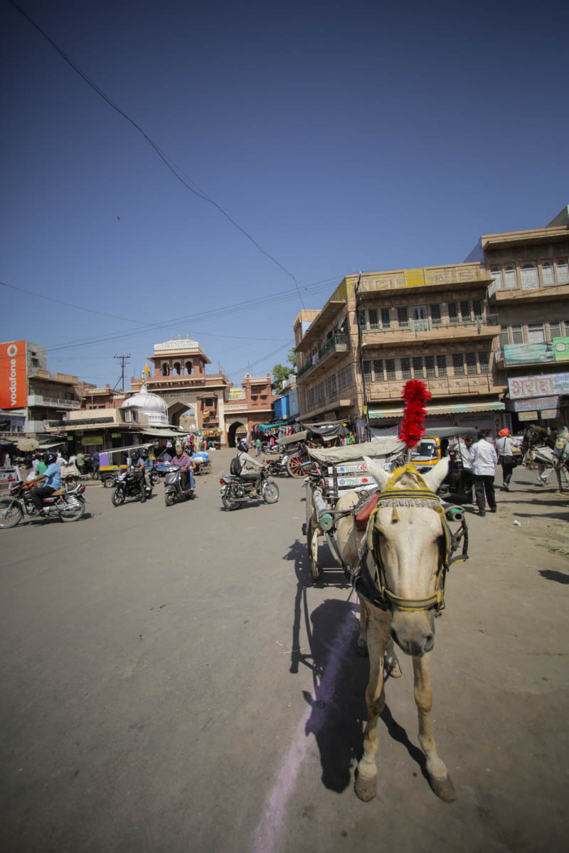 old-jodhpur-10-neil-productions